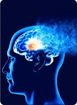 NeuroVera Brain Health Supplement